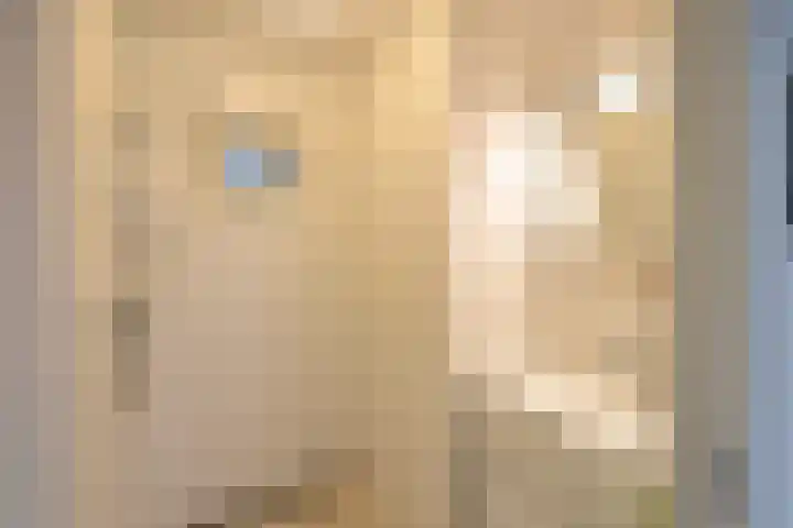 van Ostadelaan 13 Muiderberg thumbnail 25