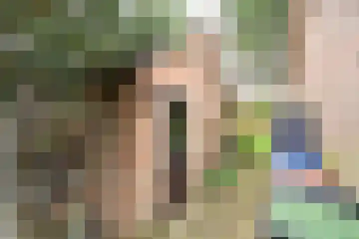 van Ostadelaan 13 Muiderberg thumbnail 33