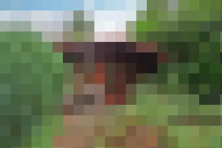 van Ostadelaan 13 Muiderberg thumbnail 35