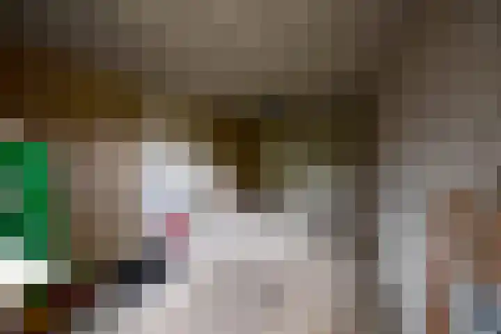 van Ostadelaan 13 Muiderberg thumbnail 37