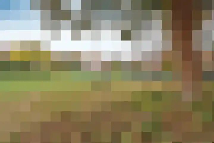 van Ostadelaan 13 Muiderberg thumbnail 4