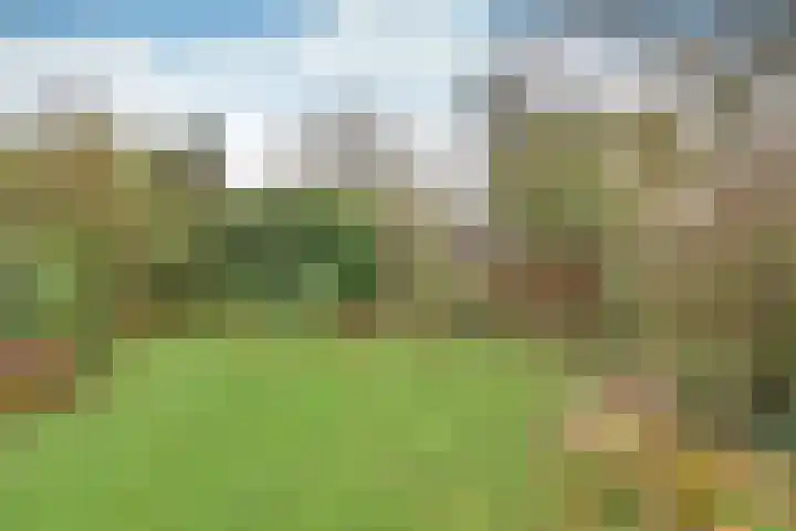 van Ostadelaan 13 Muiderberg thumbnail 5