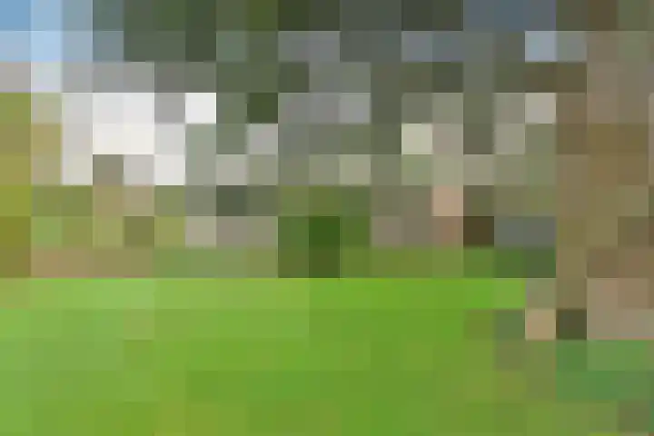 van Ostadelaan 13 Muiderberg thumbnail 8