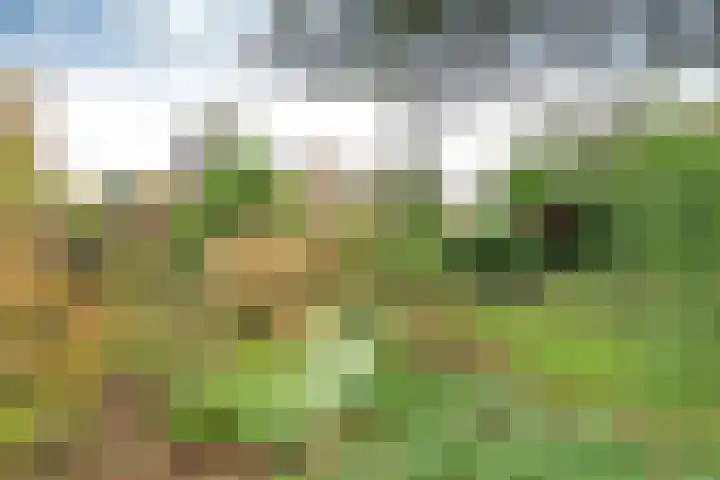 van Ostadelaan 13 Muiderberg thumbnail 9