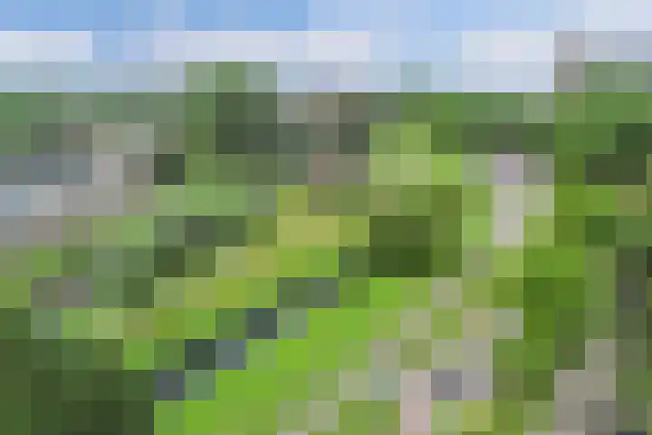 Van Ostadelaan 14 Alkmaar thumbnail 13
