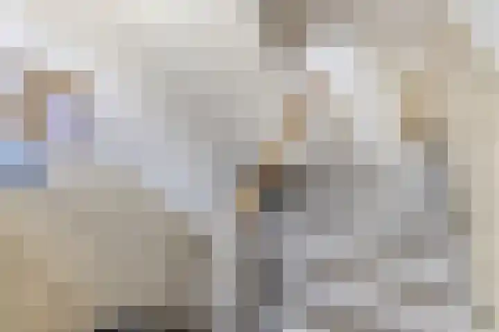 Van Ostadelaan 14 Alkmaar thumbnail 15