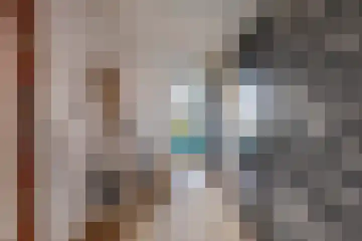 Van Ostadelaan 14 Alkmaar thumbnail 16