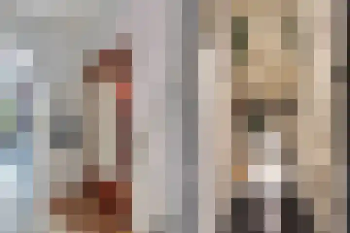 Van Ostadelaan 14 Alkmaar thumbnail 17