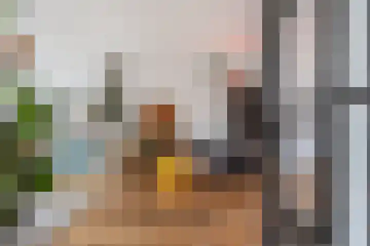 Van Ostadelaan 14 Alkmaar thumbnail 19