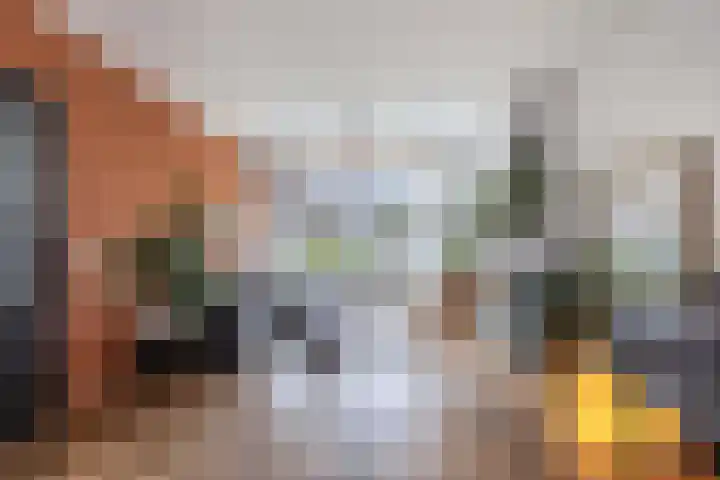 Van Ostadelaan 14 Alkmaar thumbnail 20