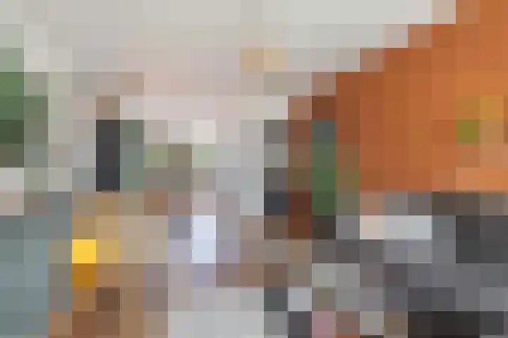 Van Ostadelaan 14 Alkmaar thumbnail 23