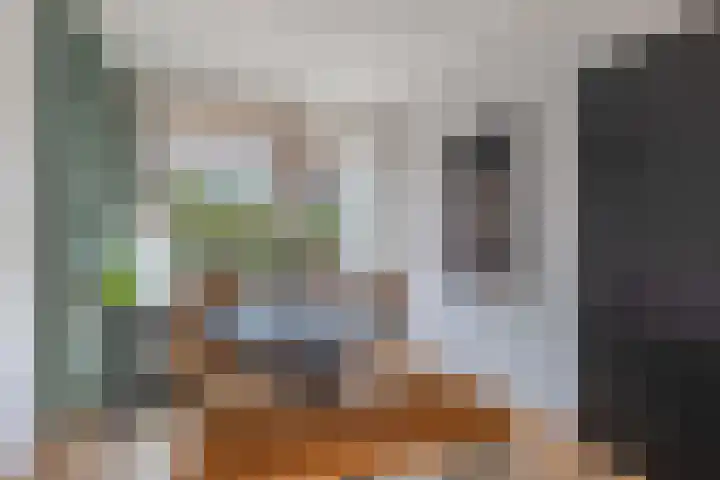 Van Ostadelaan 14 Alkmaar thumbnail 24