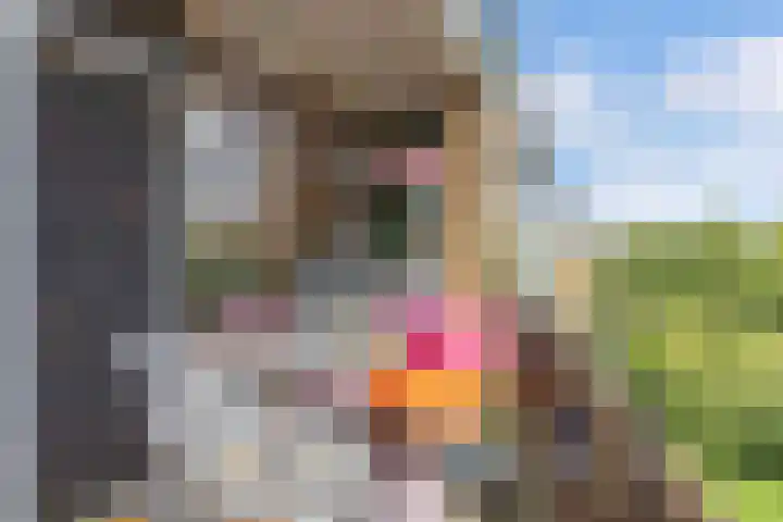 Van Ostadelaan 14 Alkmaar thumbnail 27