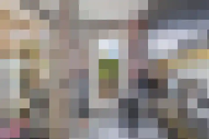 Van Ostadelaan 14 Alkmaar thumbnail 29