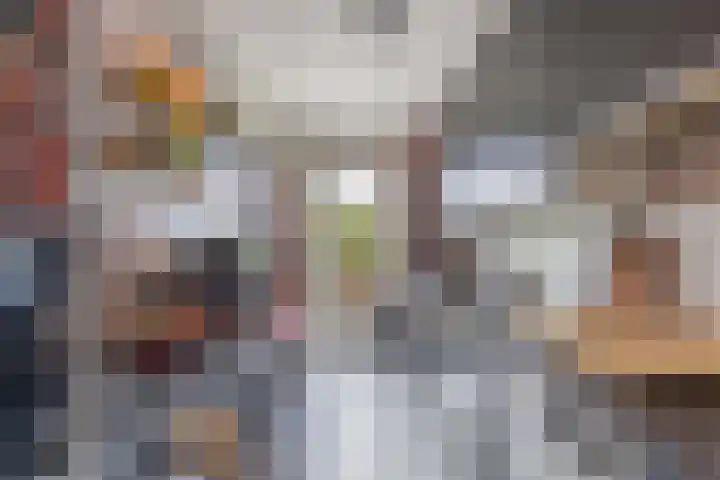 Van Ostadelaan 14 Alkmaar thumbnail 31