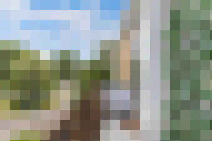 Van Ostadelaan 14 Alkmaar thumbnail 32