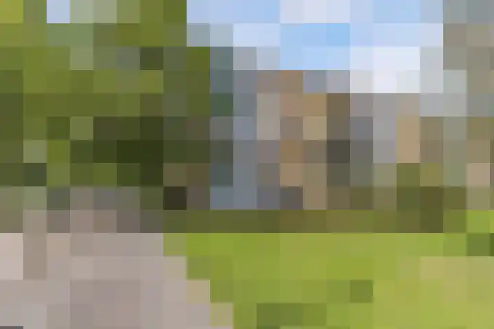 Van Ostadelaan 14 Alkmaar thumbnail 6