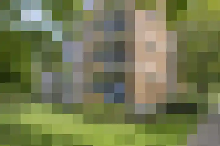 Van Ostadelaan 14 Alkmaar thumbnail 7