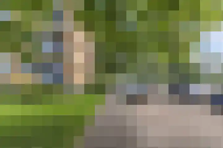 Van Ostadelaan 14 Alkmaar thumbnail 8