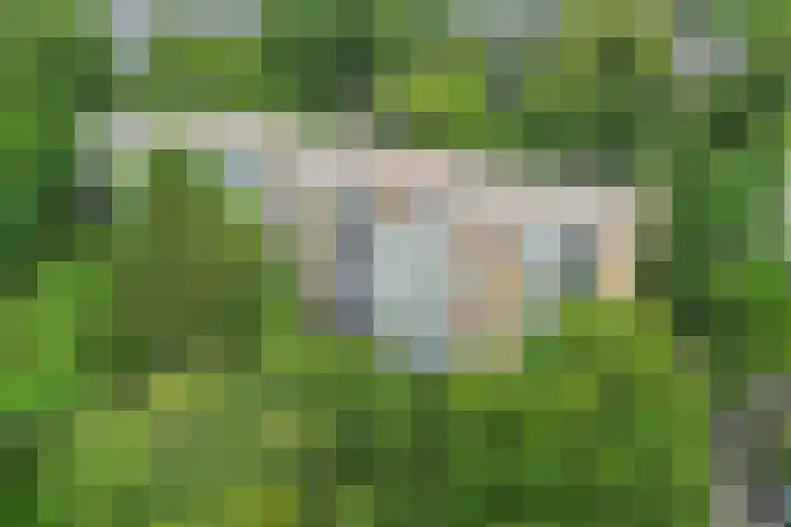 Van Ostadelaan 14 Alkmaar thumbnail 9