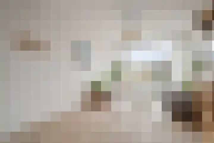 Van Ostadelaan 140 Alkmaar thumbnail 10