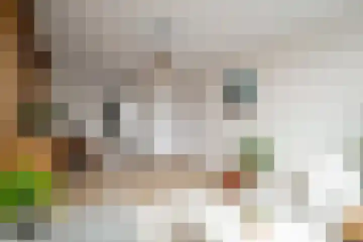 Van Ostadelaan 140 Alkmaar thumbnail 12