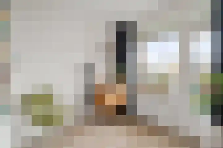 Van Ostadelaan 140 Alkmaar thumbnail 14