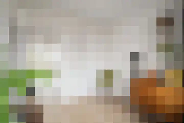 Van Ostadelaan 140 Alkmaar thumbnail 15