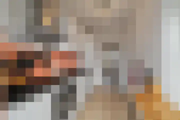 Van Ostadelaan 140 Alkmaar thumbnail 18