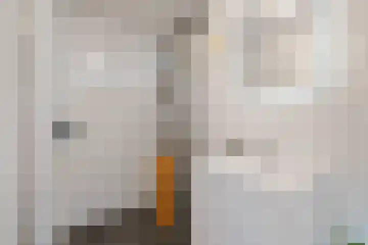 Van Ostadelaan 140 Alkmaar thumbnail 20