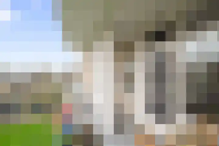 Van Ostadelaan 140 Alkmaar thumbnail 25