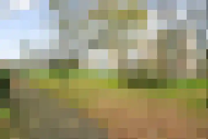Van Ostadelaan 140 Alkmaar thumbnail 29