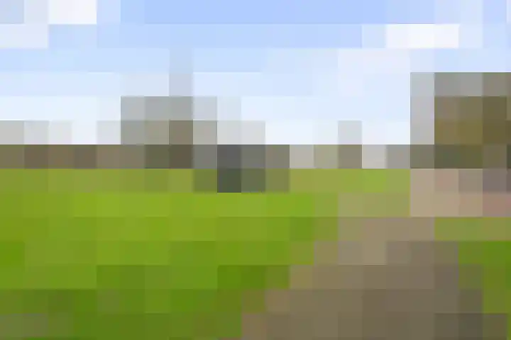 Van Ostadelaan 140 Alkmaar thumbnail 31