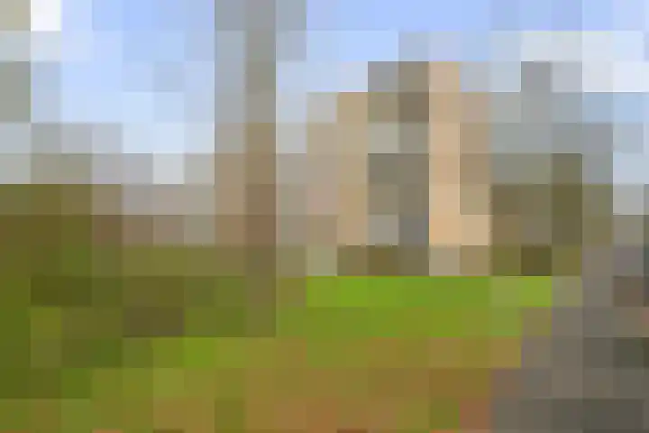 Van Ostadelaan 140 Alkmaar thumbnail 5