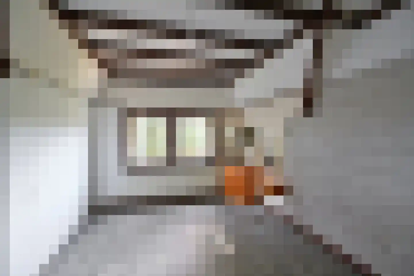 Van Ostadelaan 15 Hilversum thumbnail 11