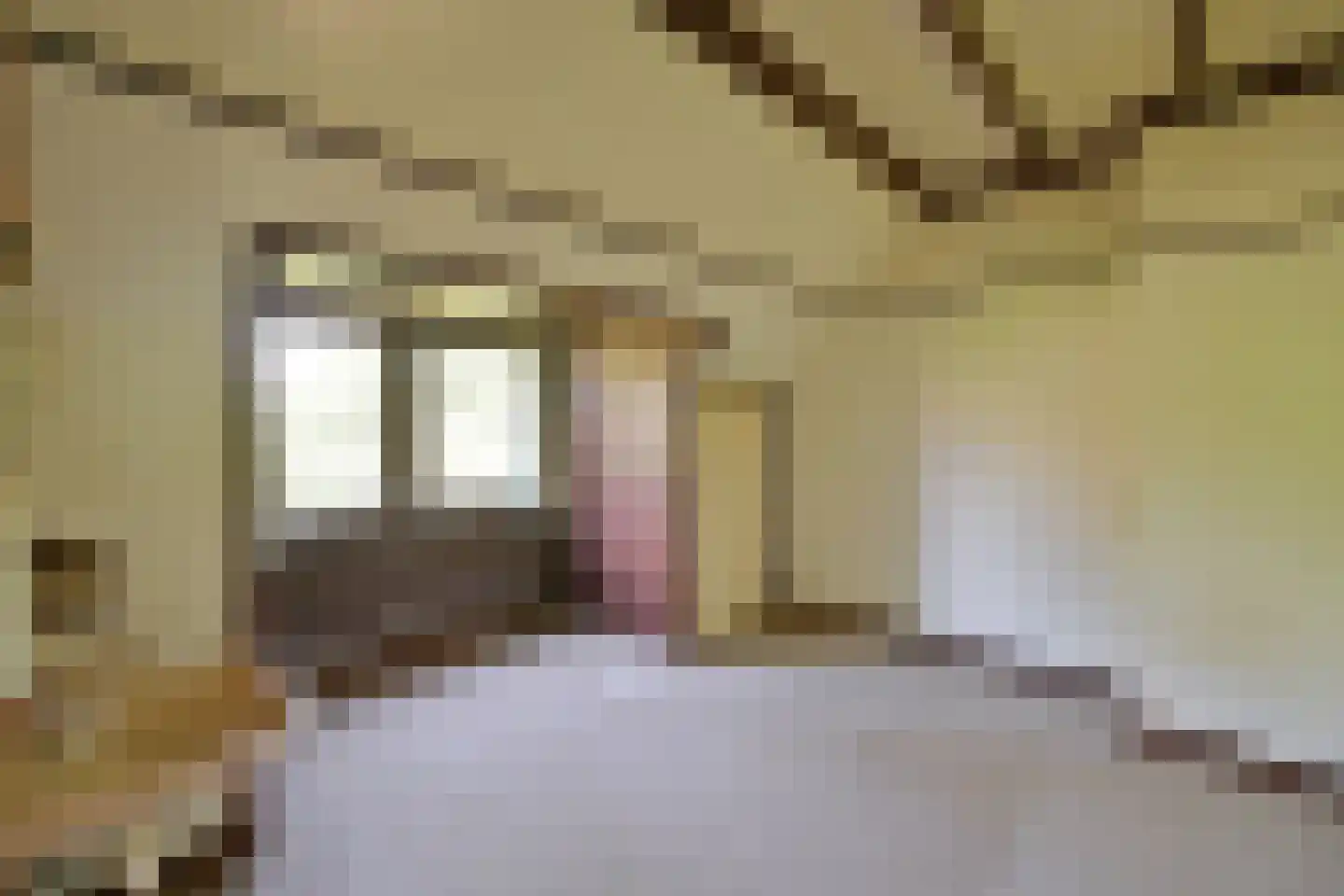 Van Ostadelaan 15 Hilversum thumbnail 13