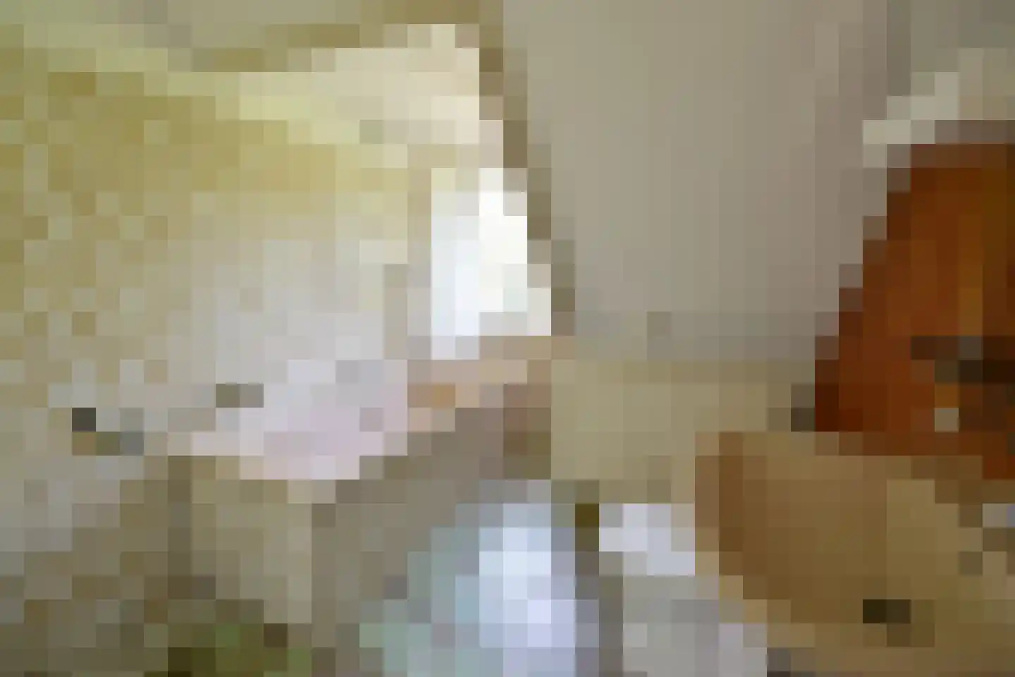 Van Ostadelaan 15 Hilversum thumbnail 14