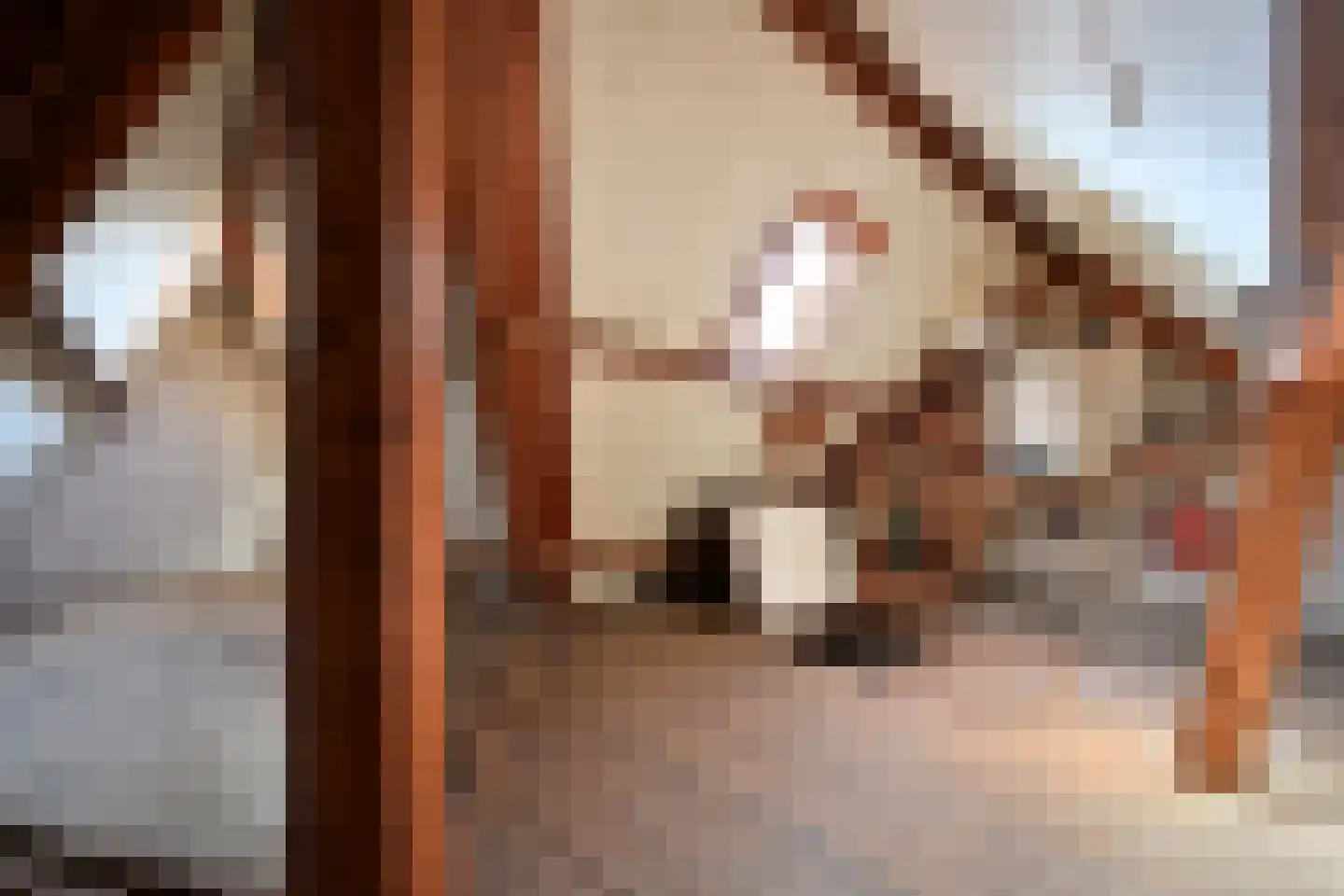 Van Ostadelaan 15 Hilversum thumbnail 16