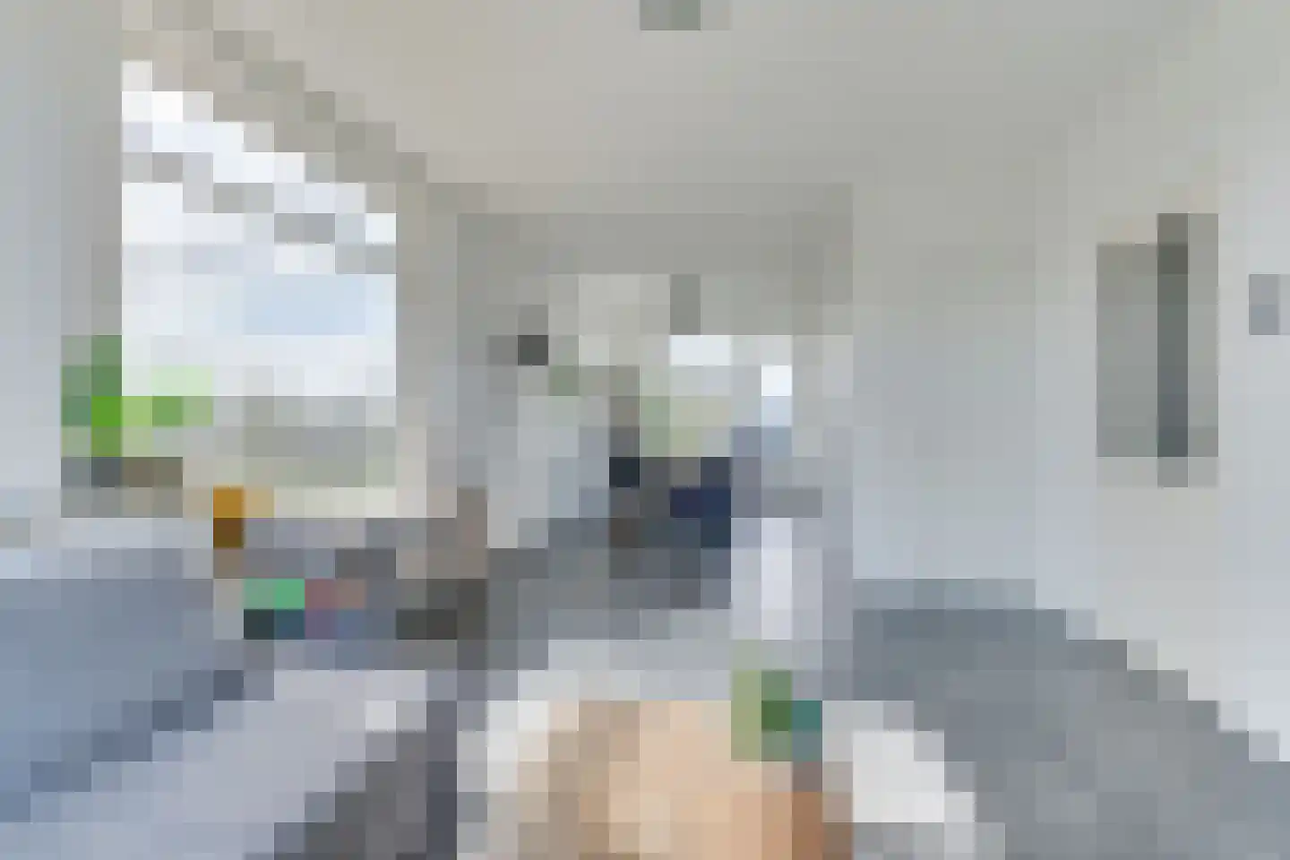 Van Ostadelaan 16 Alkmaar thumbnail 14