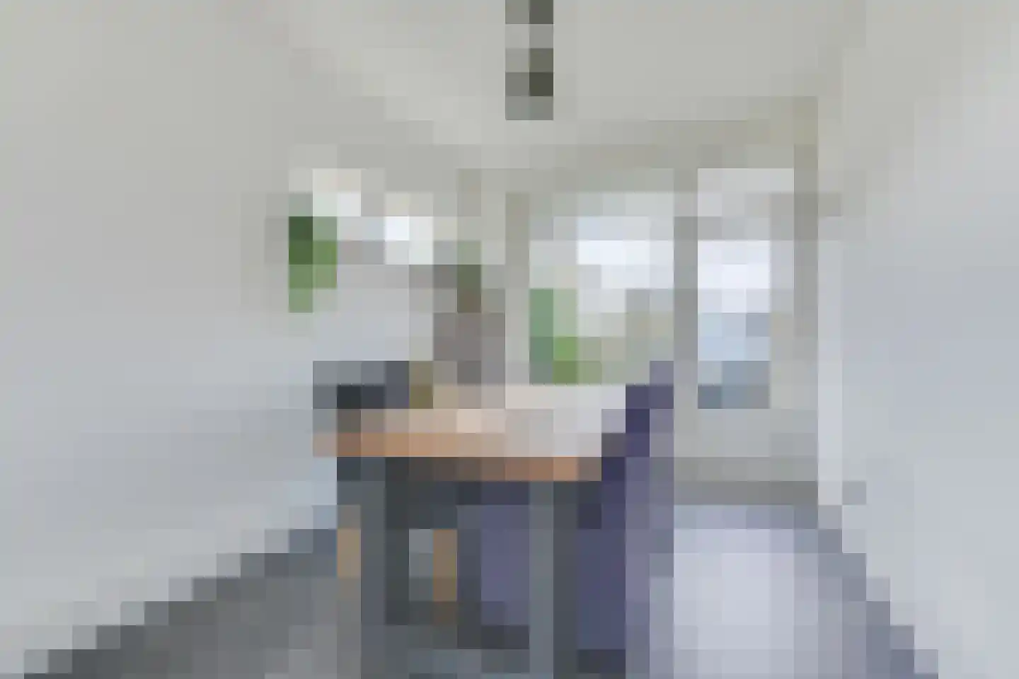 Van Ostadelaan 16 Alkmaar thumbnail 15