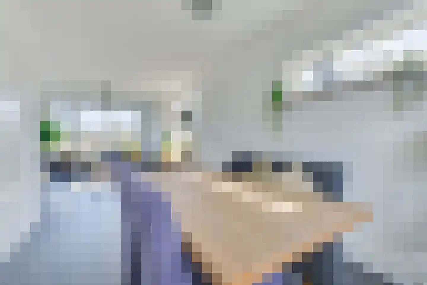 Van Ostadelaan 16 Alkmaar thumbnail 16