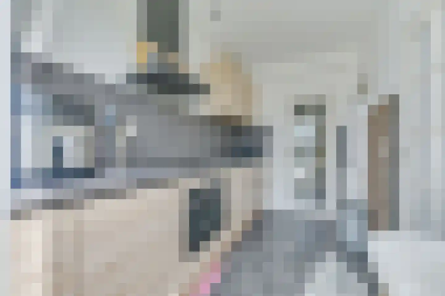 Van Ostadelaan 16 Alkmaar thumbnail 18