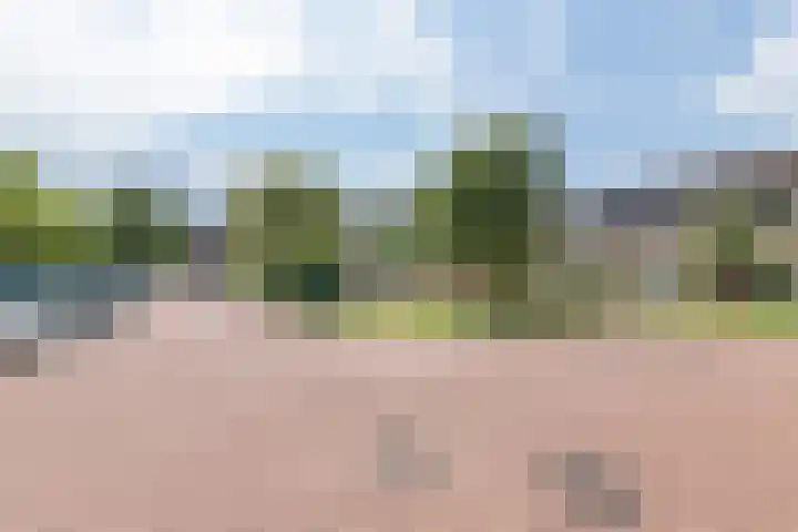 Van Ostadelaan 16 Woudenberg thumbnail 32