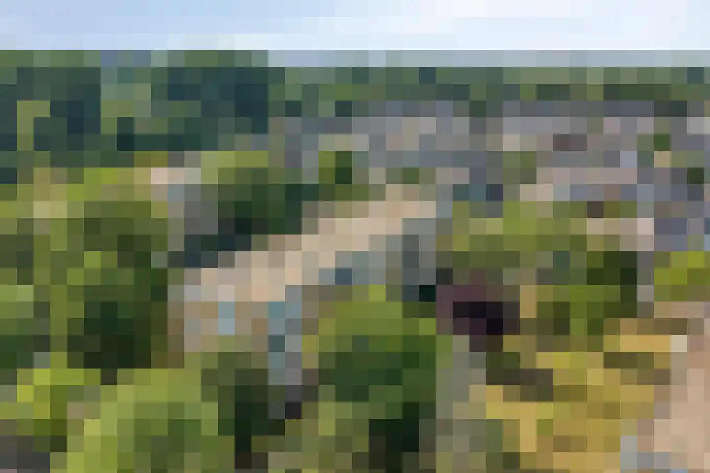 Van Ostadelaan 168 Alkmaar thumbnail 20