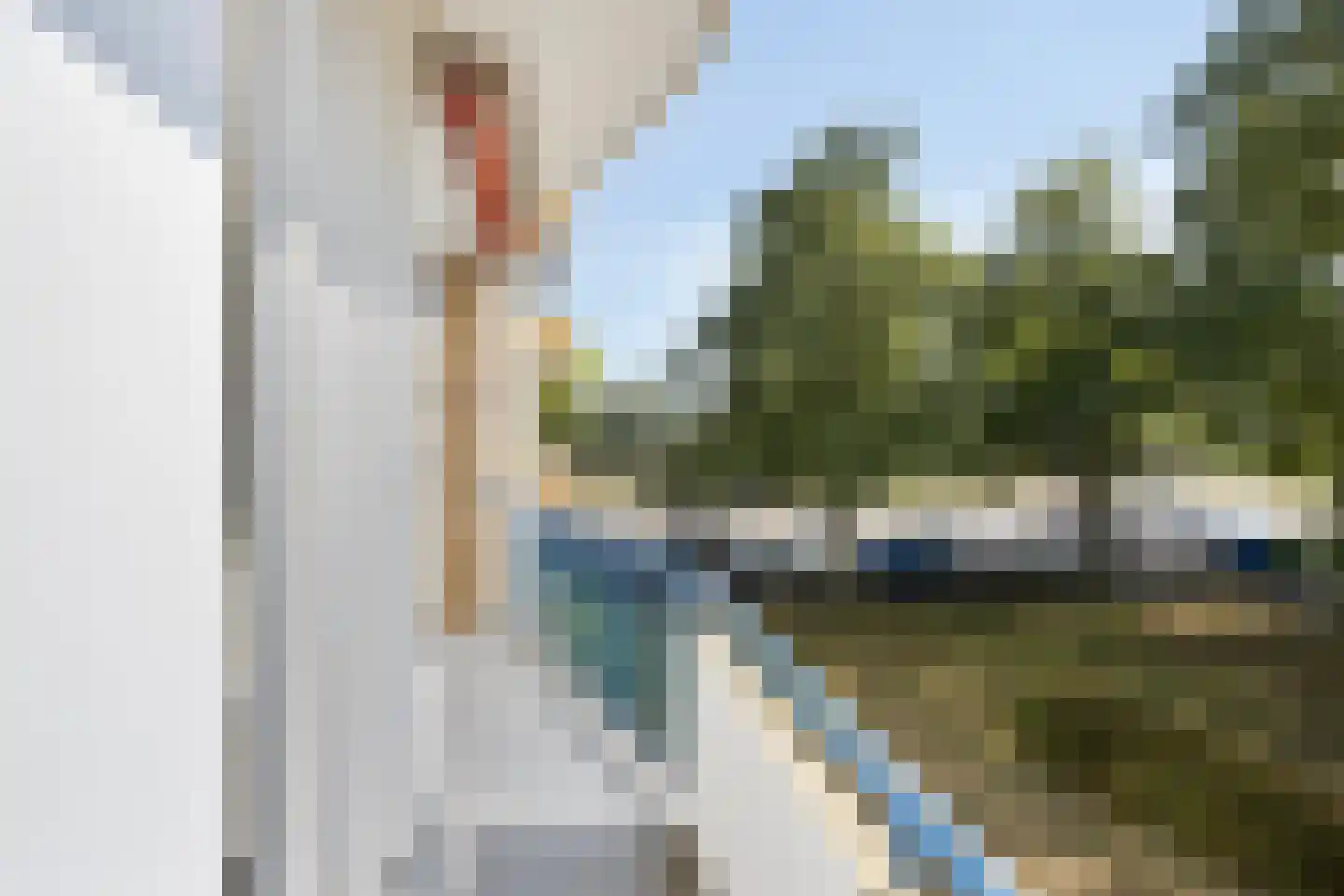 Van Ostadelaan 168 Alkmaar thumbnail 8