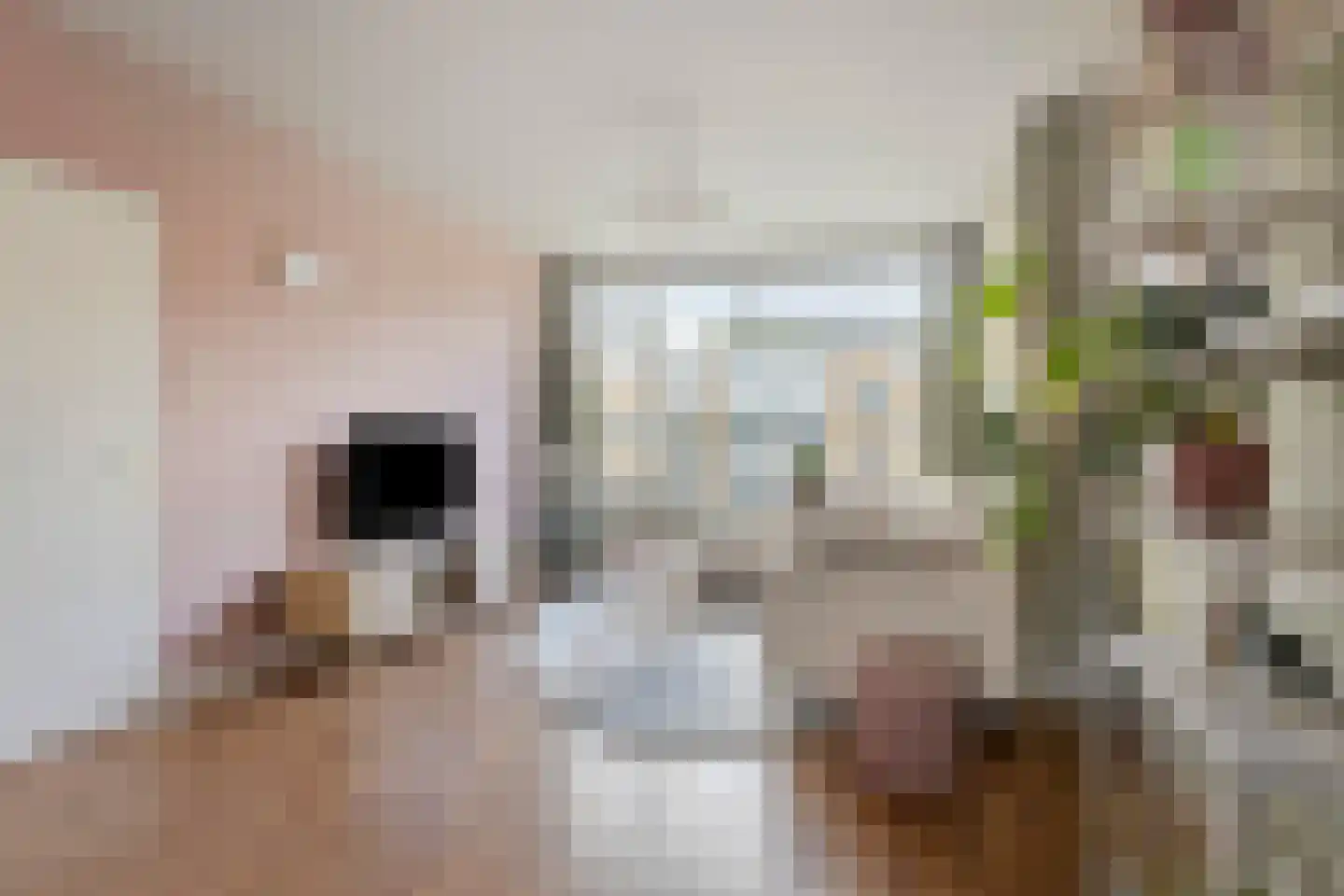 Van Ostadelaan 170 Alkmaar thumbnail 10