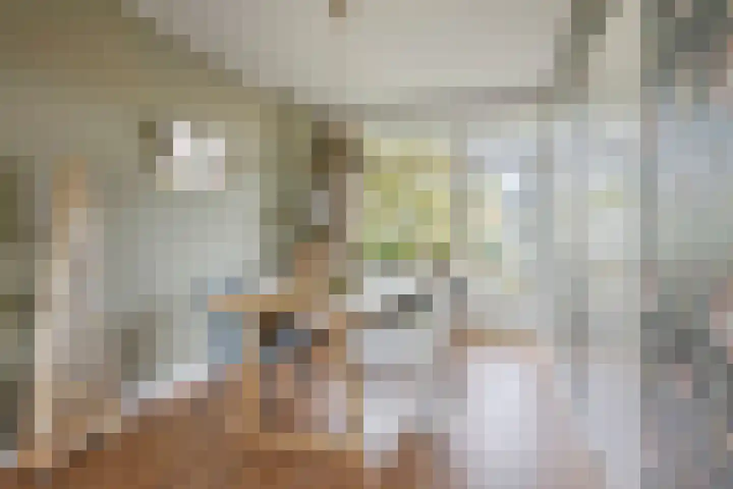Van Ostadelaan 170 Alkmaar thumbnail 15