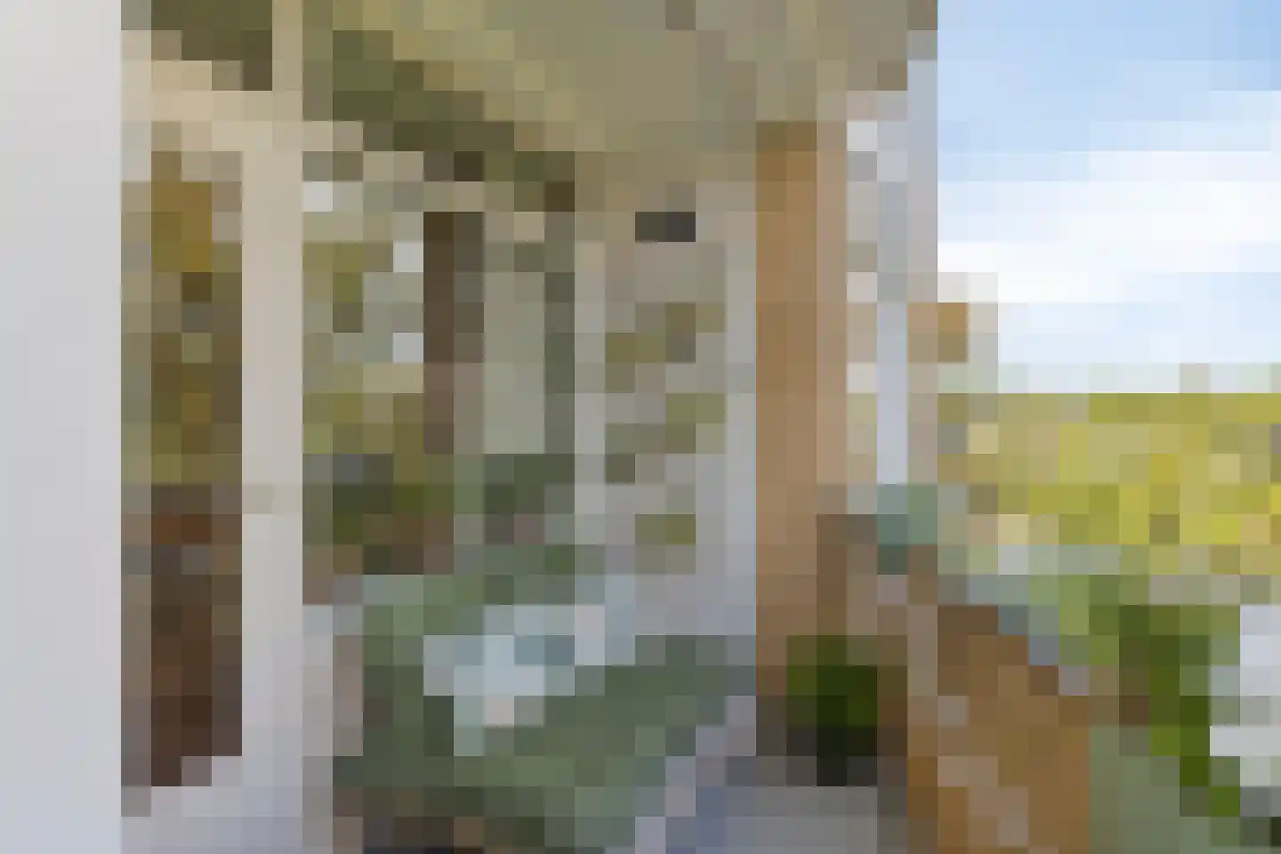 Van Ostadelaan 170 Alkmaar thumbnail 16