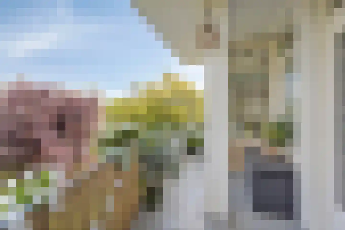 Van Ostadelaan 170 Alkmaar thumbnail 18