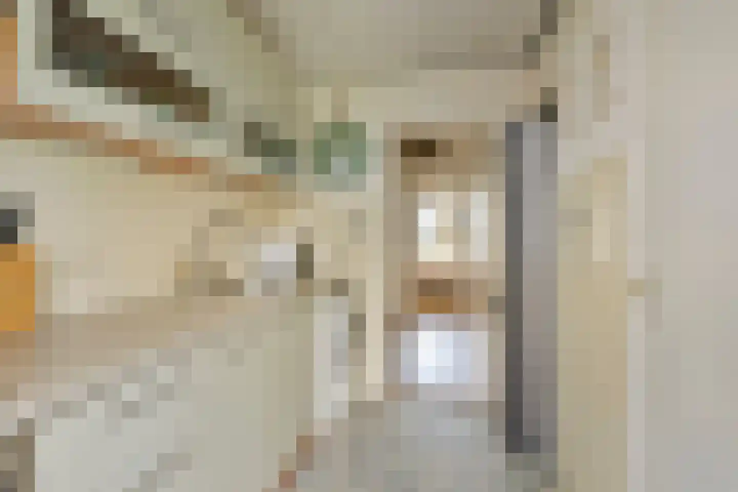 Van Ostadelaan 170 Alkmaar thumbnail 20